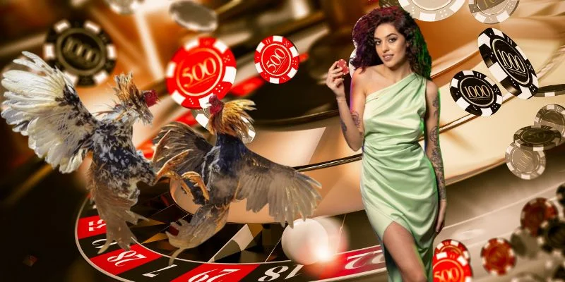 ALO789 - Nhà Cái ALO789.COM Đá Gà Thomo Uy Tín Châu Á 2 Giới thiệu Alo789